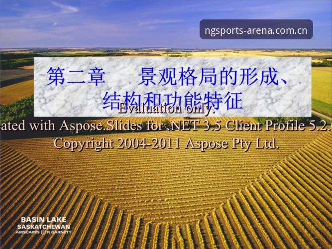 ng体育娱乐平台 ng体育官网与第三方渠道全面对比:ng体育娱乐平台v2.1.0技术评测