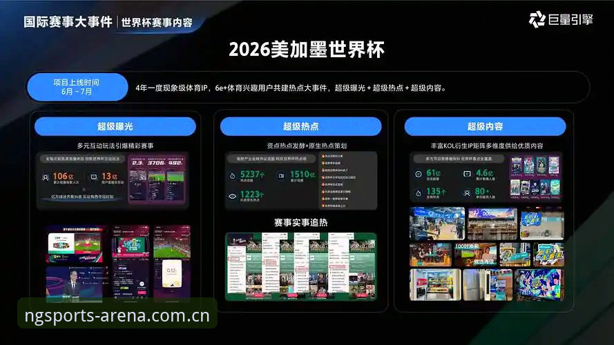 资深行业观察者分享：ng体育娱乐平台如何重塑体育观赛与交互体验